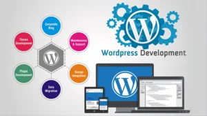 wordpress website development