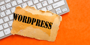 website-development-wordPress